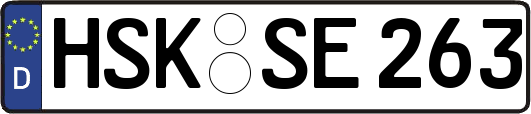 HSK-SE263
