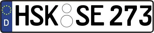 HSK-SE273