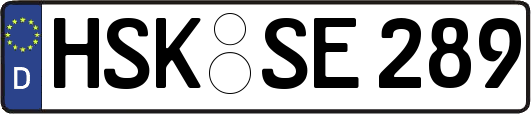 HSK-SE289