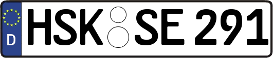 HSK-SE291