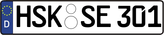 HSK-SE301