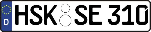 HSK-SE310