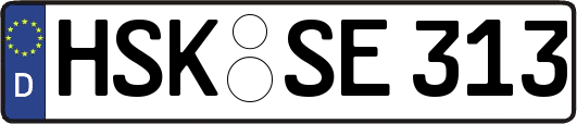 HSK-SE313