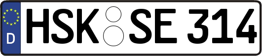 HSK-SE314