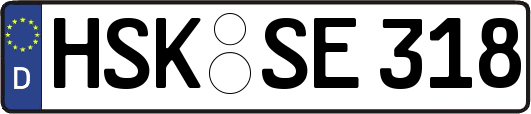 HSK-SE318