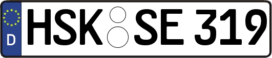 HSK-SE319