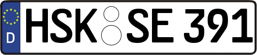 HSK-SE391