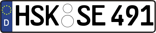 HSK-SE491
