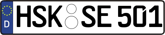HSK-SE501
