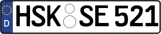HSK-SE521