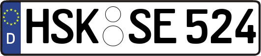 HSK-SE524