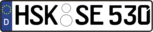 HSK-SE530