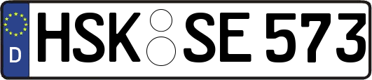 HSK-SE573