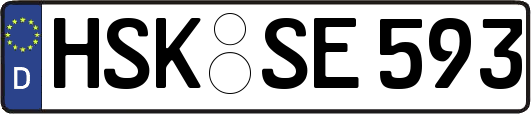 HSK-SE593