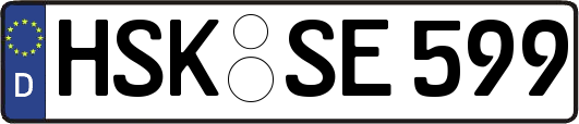 HSK-SE599