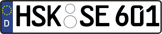 HSK-SE601