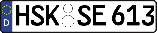 HSK-SE613
