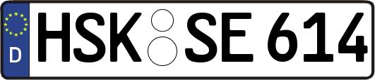 HSK-SE614