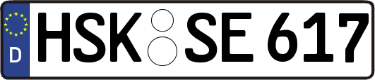 HSK-SE617
