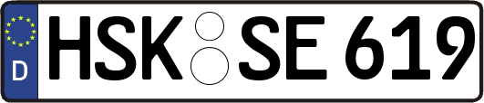 HSK-SE619
