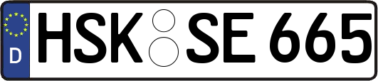 HSK-SE665