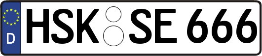 HSK-SE666
