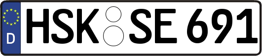 HSK-SE691