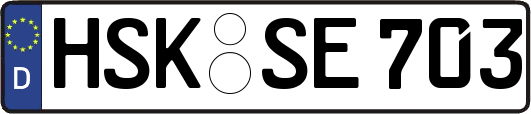 HSK-SE703