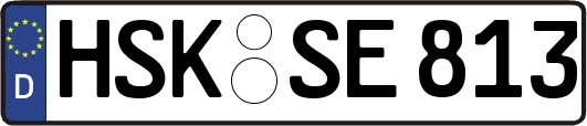 HSK-SE813