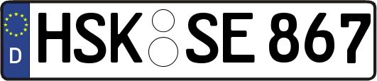 HSK-SE867