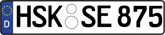 HSK-SE875