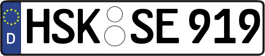HSK-SE919