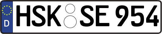 HSK-SE954