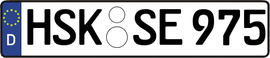 HSK-SE975