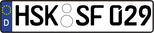 HSK-SF029