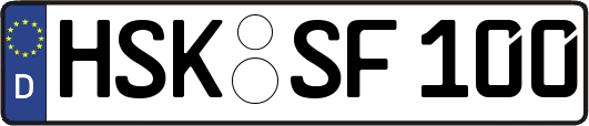 HSK-SF100