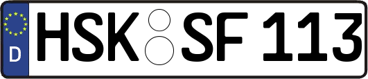HSK-SF113