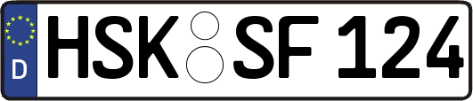 HSK-SF124