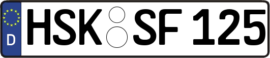 HSK-SF125