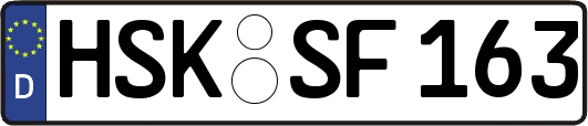 HSK-SF163