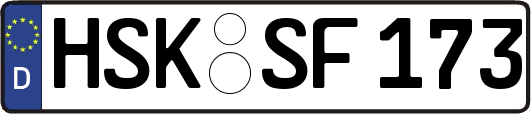 HSK-SF173