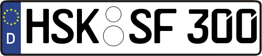 HSK-SF300