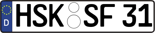 HSK-SF31
