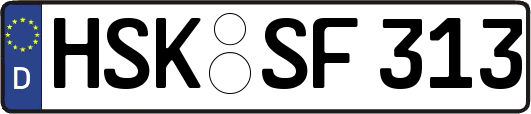 HSK-SF313