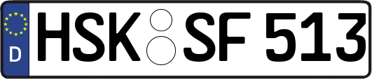 HSK-SF513