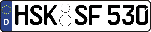 HSK-SF530