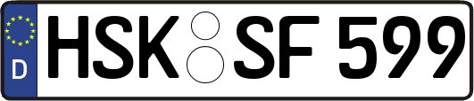 HSK-SF599