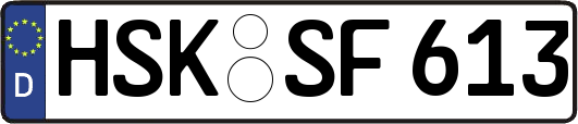HSK-SF613