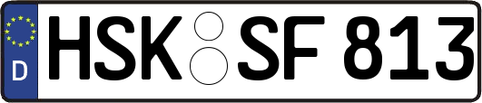 HSK-SF813
