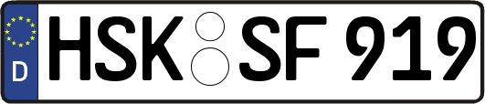 HSK-SF919